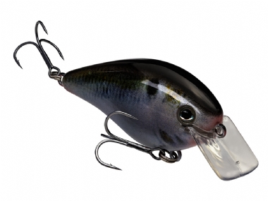 NATURAL SHAD