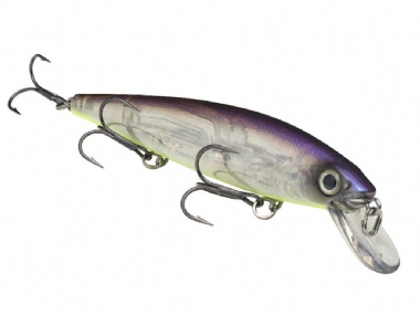 STROBE SHAD