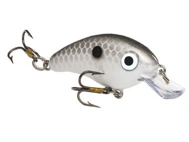 GIZZARD SHAD