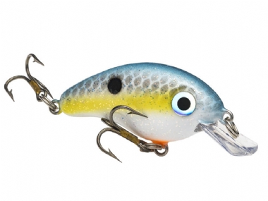 SEXY SHAD