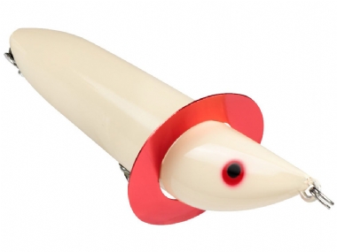 BONE