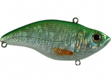 GREEN SHINER