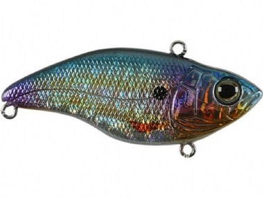 MAGIC SHAD