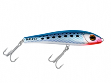 PILCHARD (H50)