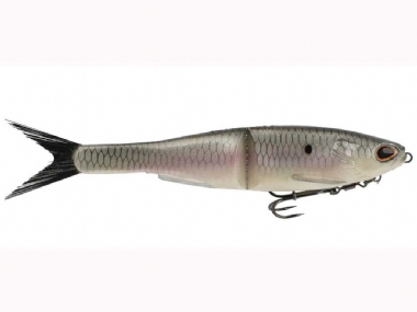 HICKORY SHAD