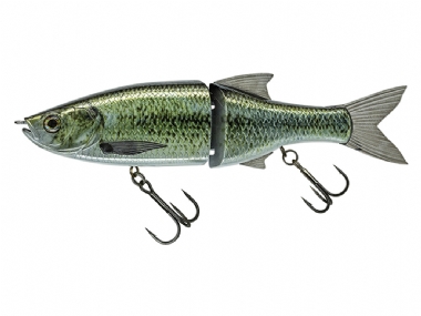 LIVE BLACK BASS
