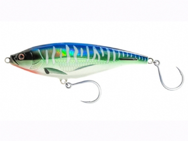 SPANISH MACKEREL