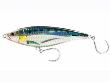 SARDINE