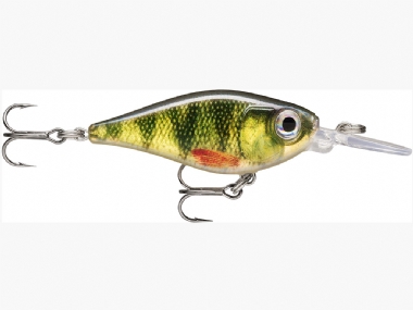 LIVE PERCH (PEL)