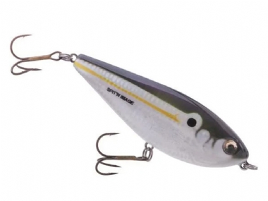 TENNESSEE SHAD