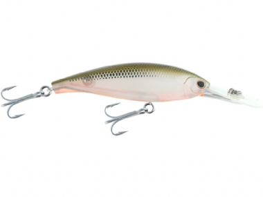 GREEN O SHAD