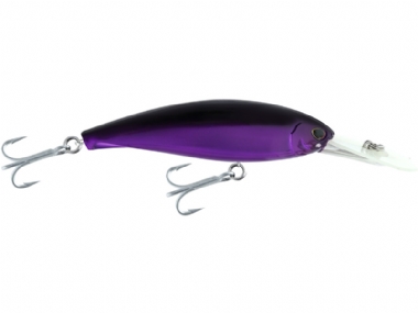 PURPLE MACKEREL