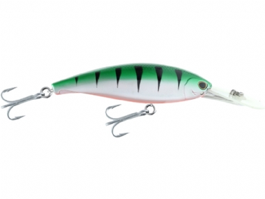 SILVER PERCH