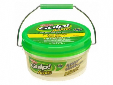 BERKLEY GULP ALIVE BUCKET