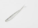 BAIT FISH