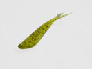 WATERMELON SEED