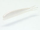 WHITE PEARL