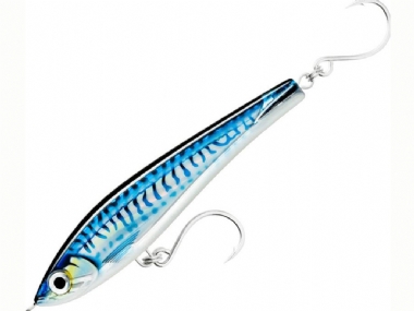 HD SILVER BLUE MACKEREL
