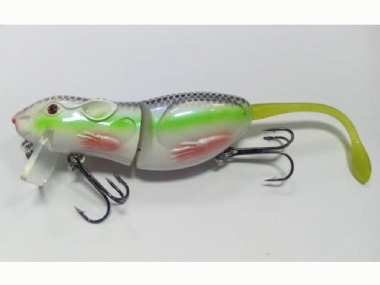 SEXY SHAD