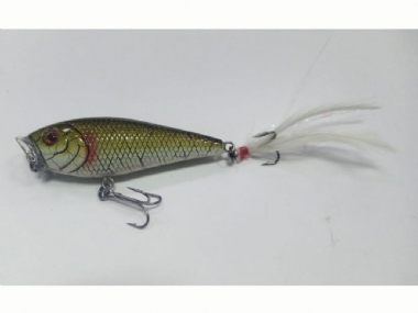 BASS 
