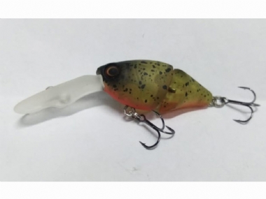 CAMO CRAW