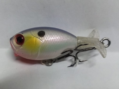 SEXY SHAD