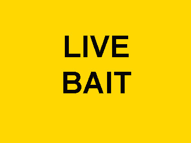 LIVE BAIT