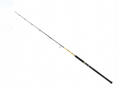 SHIMANO BEASTMASTER JIGGING SPINNING 