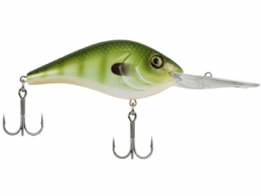 GREEN GILL